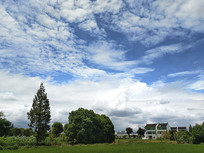 ��Ұ�����˼�