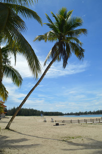 �Ĳ�Ҭ������Ȼ���ͼ