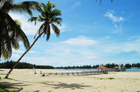 �Ĳ�Ҭ��������ͼƬ