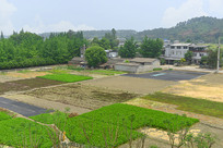 �ɶ�ƽԭ�����ׯ 