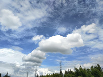 �����ƴ�