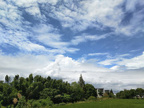 ��Ұ�ƺ����