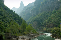 �����ھ��̺���ɫֲ��