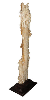 ����ʯʯ��