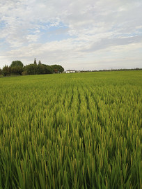 ������Ķ