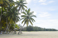 �����Ĳ�Ҭ�����Ҭ����