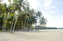 �����Ĳ�Ҭ�����Ҭ�������