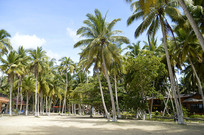 �����Ĳ�Ҭ����Ҭ�������