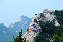 ��ɽ��ɽɽ��