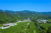 ������Ұ��԰