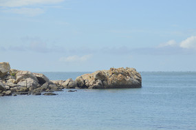  ���Ϻ�̲���� 