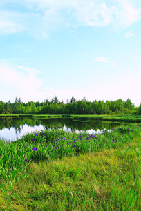 ���˰����������羰