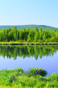 ���˰����������������