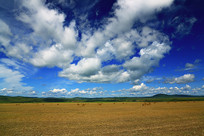 ���ױ��������＾�羰