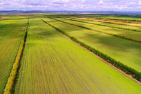 ���ױ��������Ͳ˻���