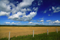 ���ױ����＾ũ�����