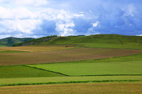 ɽ����Ұũ��