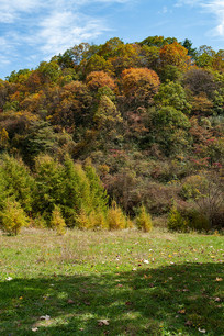 ������ɽ����ƺ���־�Ⱦ