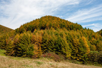 ������ɽ����ƺɭ�ַ��