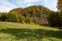 ������ɽ����ƺ�������