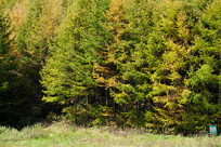 ������ɽ����ƺ��Ҷ��