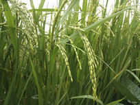 �������㵾��