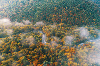 ����ɽ�������ֺ�����ɫ����