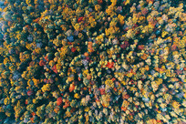 ���ĳ���ɽ�����ﾰ 