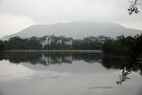 ڳ嶫