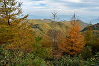 ��ɽ����ƺ����ʱ��