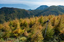 ��ɽ����ƺ��������