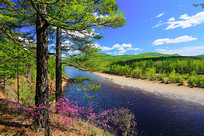 ���˰���ɭ�ֺӴ���