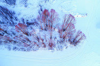 ���˰���ѩԭ�������