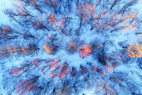 ����ѩԭ����������ڡ 