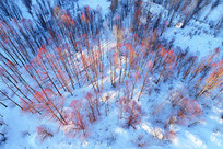 ����ѩ������ַ羰 