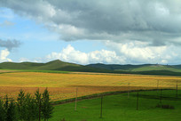 ���ױ���������԰��� 