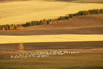 ���������������Ⱥ