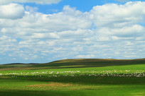 ��ɫ�ݵط��