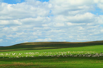 ��ɫ������� 