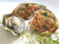 ��ɫ�������