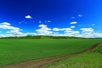 ��ɫ��Ұ���