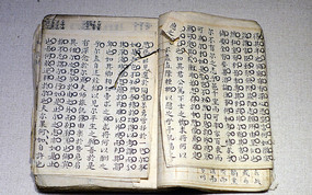 ����˹��ĸ�  