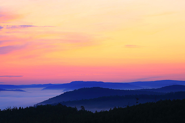 ɽ�ͳ�������