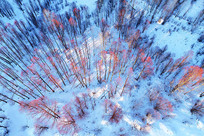 ѩԭ����������ڡ 