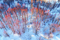 ѩ�����ѩ�������ģ� 