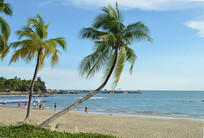 �����������º��Ƿ羰��