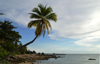 �����������º��Ƿ羰��ͼ