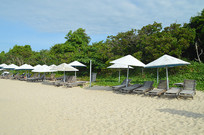 ������������ɳ̲����ͼƬ