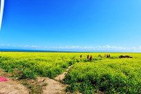 �ຣ�������Ͳ˻�  