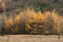 ������ɽ����ƺɭ�ֹ�԰